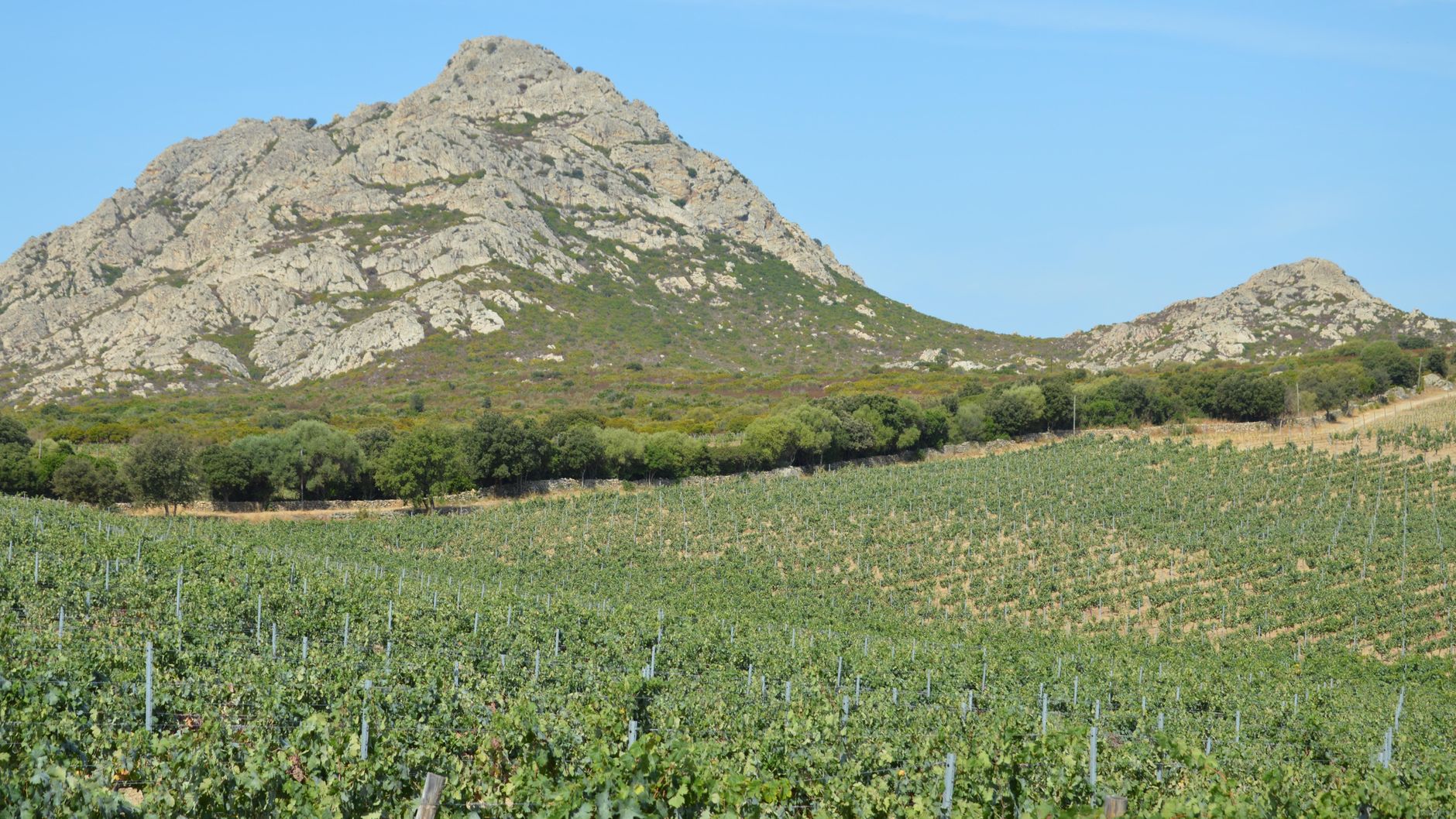 L'impression sur tissu : un secteur en pleine mutation en France