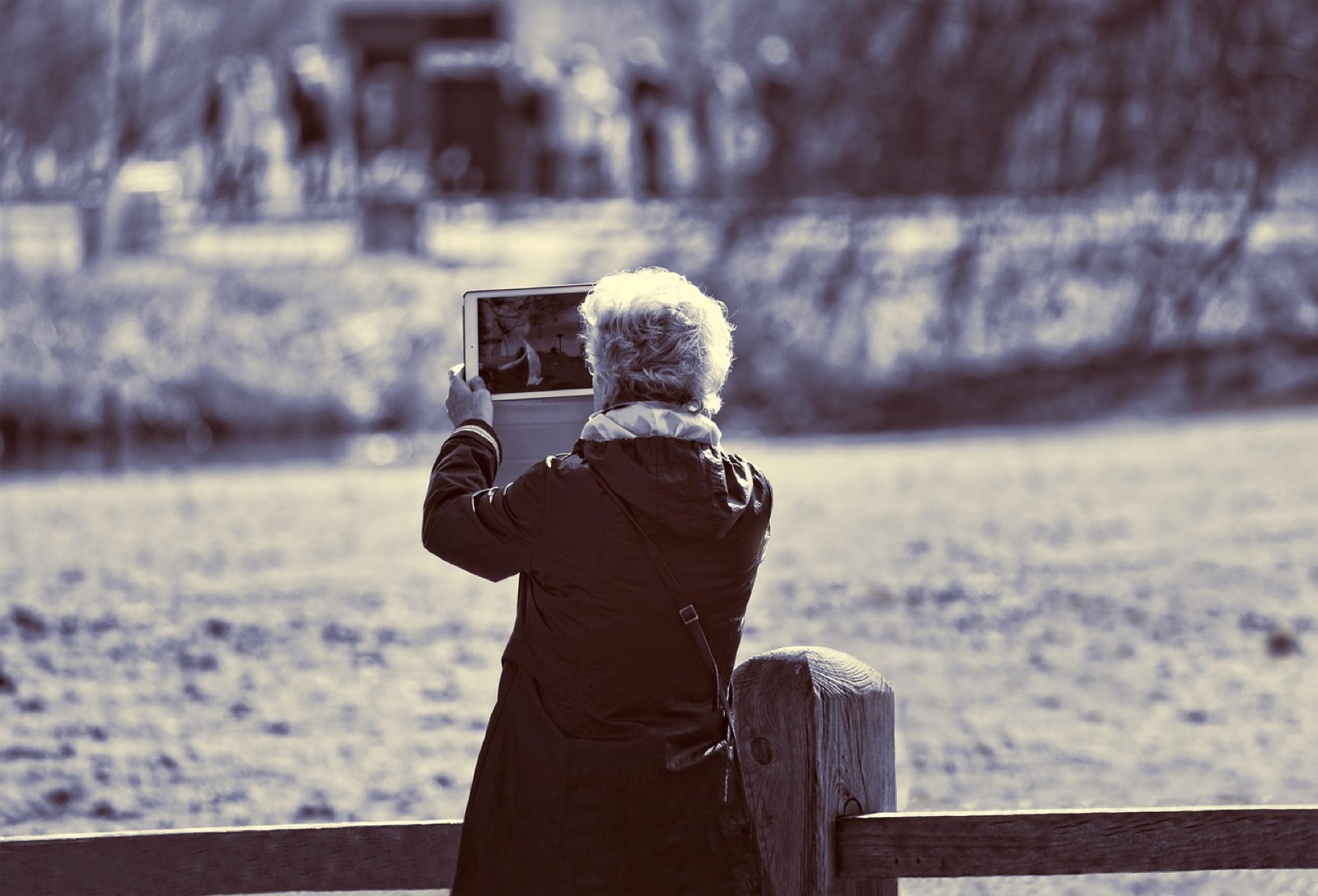 Femme âgée accompagnée pas à pas sur une tablette