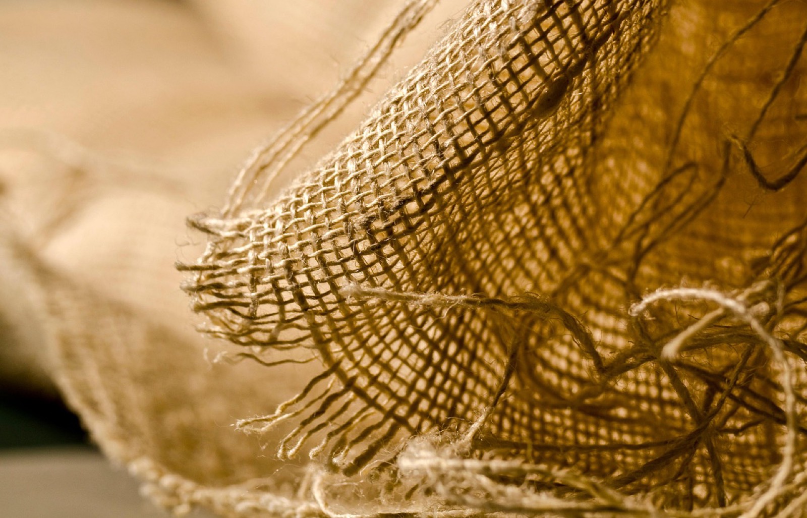 gros plan sur un logo imprimé et une fiche d'échantillon textile