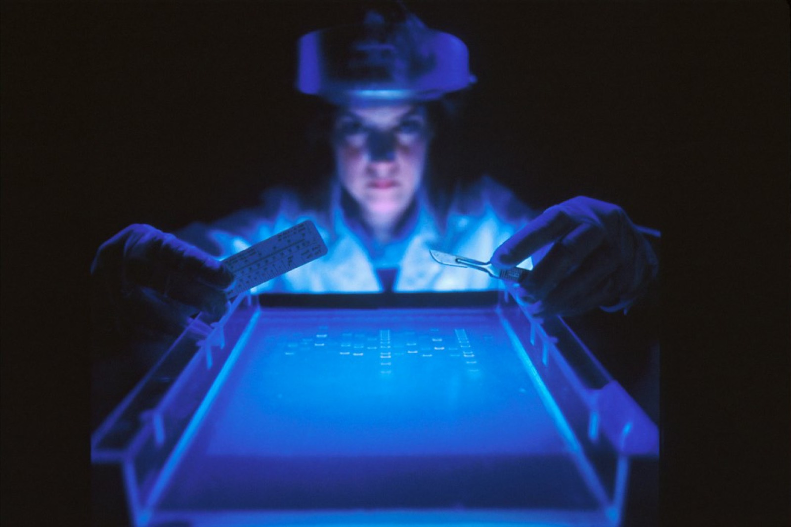 Technicien vérifiant un échantillon d'impression sous la lumière